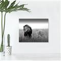Picture of The Lion King _GroupedProduct_Rectangle_Landscape_Photography _GroupedProduct_Rectangle_Landscape_Canvas_