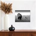 Picture of The Lion King _GroupedProduct_Rectangle_Landscape_Photography _GroupedProduct_Rectangle_Landscape_Canvas_