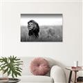 Picture of The Lion King _GroupedProduct_Rectangle_Landscape_Photography _GroupedProduct_Rectangle_Landscape_Canvas_