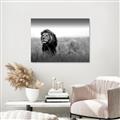 Picture of The Lion King _GroupedProduct_Rectangle_Landscape_Photography _GroupedProduct_Rectangle_Landscape_Canvas_