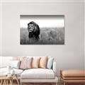Picture of The Lion King _GroupedProduct_Rectangle_Landscape_Photography _GroupedProduct_Rectangle_Landscape_Canvas_