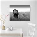 Picture of The Lion King _GroupedProduct_Rectangle_Landscape_Photography _GroupedProduct_Rectangle_Landscape_Canvas_