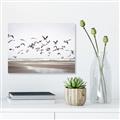 Picture of Seagulls flying on a rainy day _GroupedProduct_Rectangle_Landscape_Photography _GroupedProduct_Rectangle_Landscape_Canvas_