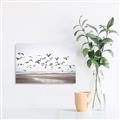 Picture of Seagulls flying on a rainy day _GroupedProduct_Rectangle_Landscape_Photography _GroupedProduct_Rectangle_Landscape_Canvas_