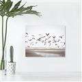 Picture of Seagulls flying on a rainy day _GroupedProduct_Rectangle_Landscape_Photography _GroupedProduct_Rectangle_Landscape_Canvas_