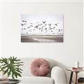 Picture of Seagulls flying on a rainy day _GroupedProduct_Rectangle_Landscape_Photography _GroupedProduct_Rectangle_Landscape_Canvas_