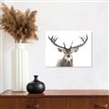 Picture of Deer Antler _GroupedProduct_Rectangle_Landscape_Photography _GroupedProduct_Rectangle_Landscape_Canvas_