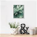 Picture of Green Ferns _GroupedProduct_Rectangle_Portrait_Photography _GroupedProduct_Rectangle_Portrait_Canvas_Framed_
