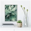 Picture of Green Ferns _GroupedProduct_Rectangle_Portrait_Photography _GroupedProduct_Rectangle_Portrait_Canvas_Framed_