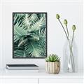 Picture of Green Ferns _GroupedProduct_Rectangle_Portrait_Photography _GroupedProduct_Rectangle_Portrait_Canvas_Framed_