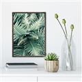 Picture of Green Ferns _GroupedProduct_Rectangle_Portrait_Photography _GroupedProduct_Rectangle_Portrait_Canvas_Framed_