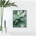 Picture of Green Ferns _GroupedProduct_Rectangle_Portrait_Photography _GroupedProduct_Rectangle_Portrait_Canvas_Framed_