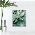 Picture of Green Ferns _GroupedProduct_Rectangle_Portrait_Photography _GroupedProduct_Rectangle_Portrait_Canvas_Framed_