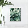Picture of Green Ferns _GroupedProduct_Rectangle_Portrait_Photography _GroupedProduct_Rectangle_Portrait_Canvas_Framed_