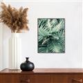 Picture of Green Ferns _GroupedProduct_Rectangle_Portrait_Photography _GroupedProduct_Rectangle_Portrait_Canvas_Framed_