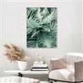 Picture of Green Ferns _GroupedProduct_Rectangle_Portrait_Photography _GroupedProduct_Rectangle_Portrait_Canvas_Framed_