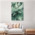 Picture of Green Ferns _GroupedProduct_Rectangle_Portrait_Photography _GroupedProduct_Rectangle_Portrait_Canvas_Framed_