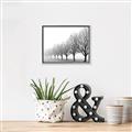 Picture of Lined Up Trees _GroupedProduct_Rectangle_Landscape_Photography _GroupedProduct_Rectangle_Landscape_Canvas_Framed_
