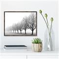 Picture of Lined Up Trees _GroupedProduct_Rectangle_Landscape_Photography _GroupedProduct_Rectangle_Landscape_Canvas_Framed_