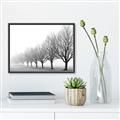 Picture of Lined Up Trees _GroupedProduct_Rectangle_Landscape_Photography _GroupedProduct_Rectangle_Landscape_Canvas_Framed_