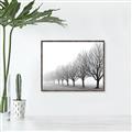 Picture of Lined Up Trees _GroupedProduct_Rectangle_Landscape_Photography _GroupedProduct_Rectangle_Landscape_Canvas_Framed_