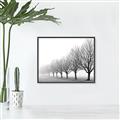 Picture of Lined Up Trees _GroupedProduct_Rectangle_Landscape_Photography _GroupedProduct_Rectangle_Landscape_Canvas_Framed_