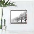 Picture of Lined Up Trees _GroupedProduct_Rectangle_Landscape_Photography _GroupedProduct_Rectangle_Landscape_Canvas_Framed_