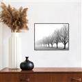 Picture of Lined Up Trees _GroupedProduct_Rectangle_Landscape_Photography _GroupedProduct_Rectangle_Landscape_Canvas_Framed_