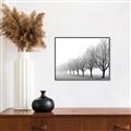 Picture of Lined Up Trees _GroupedProduct_Rectangle_Landscape_Photography _GroupedProduct_Rectangle_Landscape_Canvas_Framed_