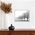 Picture of Lined Up Trees _GroupedProduct_Rectangle_Landscape_Photography _GroupedProduct_Rectangle_Landscape_Canvas_Framed_