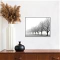 Picture of Lined Up Trees _GroupedProduct_Rectangle_Landscape_Photography _GroupedProduct_Rectangle_Landscape_Canvas_Framed_