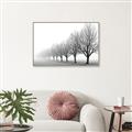 Picture of Lined Up Trees _GroupedProduct_Rectangle_Landscape_Photography _GroupedProduct_Rectangle_Landscape_Canvas_Framed_