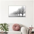 Picture of Lined Up Trees _GroupedProduct_Rectangle_Landscape_Photography _GroupedProduct_Rectangle_Landscape_Canvas_Framed_