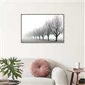 Picture of Lined Up Trees _GroupedProduct_Rectangle_Landscape_Photography _GroupedProduct_Rectangle_Landscape_Canvas_Framed_