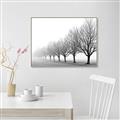 Picture of Lined Up Trees _GroupedProduct_Rectangle_Landscape_Photography _GroupedProduct_Rectangle_Landscape_Canvas_Framed_