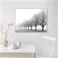 Picture of Lined Up Trees _GroupedProduct_Rectangle_Landscape_Photography _GroupedProduct_Rectangle_Landscape_Canvas_Framed_