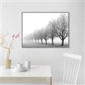 Picture of Lined Up Trees _GroupedProduct_Rectangle_Landscape_Photography _GroupedProduct_Rectangle_Landscape_Canvas_Framed_