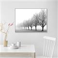 Picture of Lined Up Trees _GroupedProduct_Rectangle_Landscape_Photography _GroupedProduct_Rectangle_Landscape_Canvas_Framed_