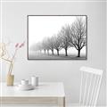 Picture of Lined Up Trees _GroupedProduct_Rectangle_Landscape_Photography _GroupedProduct_Rectangle_Landscape_Canvas_Framed_