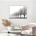 Picture of Lined Up Trees _GroupedProduct_Rectangle_Landscape_Photography _GroupedProduct_Rectangle_Landscape_Canvas_Framed_