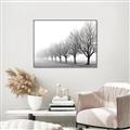 Picture of Lined Up Trees _GroupedProduct_Rectangle_Landscape_Photography _GroupedProduct_Rectangle_Landscape_Canvas_Framed_