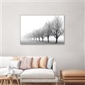 Picture of Lined Up Trees _GroupedProduct_Rectangle_Landscape_Photography _GroupedProduct_Rectangle_Landscape_Canvas_Framed_