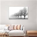 Picture of Lined Up Trees _GroupedProduct_Rectangle_Landscape_Photography _GroupedProduct_Rectangle_Landscape_Canvas_Framed_