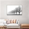 Picture of Lined Up Trees _GroupedProduct_Rectangle_Landscape_Photography _GroupedProduct_Rectangle_Landscape_Canvas_Framed_