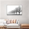 Picture of Lined Up Trees _GroupedProduct_Rectangle_Landscape_Photography _GroupedProduct_Rectangle_Landscape_Canvas_Framed_