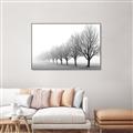 Picture of Lined Up Trees _GroupedProduct_Rectangle_Landscape_Photography _GroupedProduct_Rectangle_Landscape_Canvas_Framed_