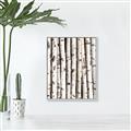 Picture of Birch Logs _GroupedProduct_Rectangle_Portrait_Photography _GroupedProduct_Rectangle_Portrait_Canvas_Framed_