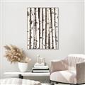Picture of Birch Logs _GroupedProduct_Rectangle_Portrait_Photography _GroupedProduct_Rectangle_Portrait_Canvas_Framed_