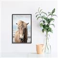 Picture of Sadie _GroupedProduct_Rectangle_Portrait_Photography _GroupedProduct_Rectangle_Portrait_Canvas_Framed_