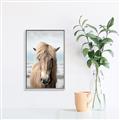 Picture of Sadie _GroupedProduct_Rectangle_Portrait_Photography _GroupedProduct_Rectangle_Portrait_Canvas_Framed_